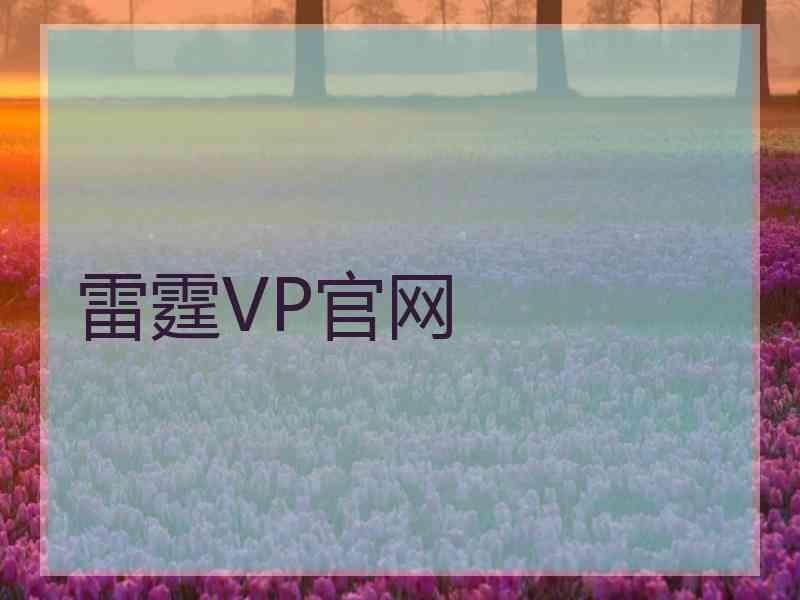 雷霆VP官网