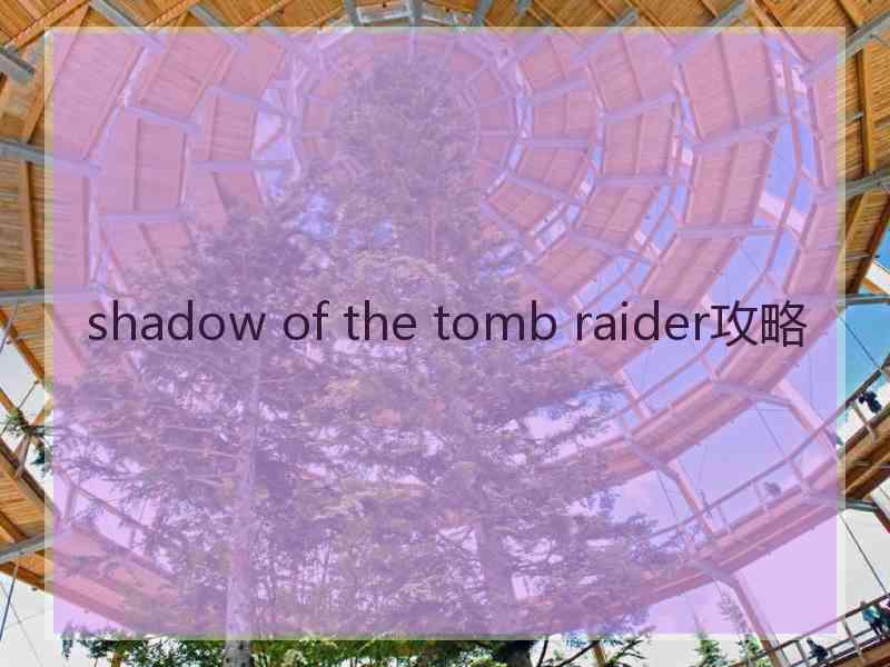 shadow of the tomb raider攻略