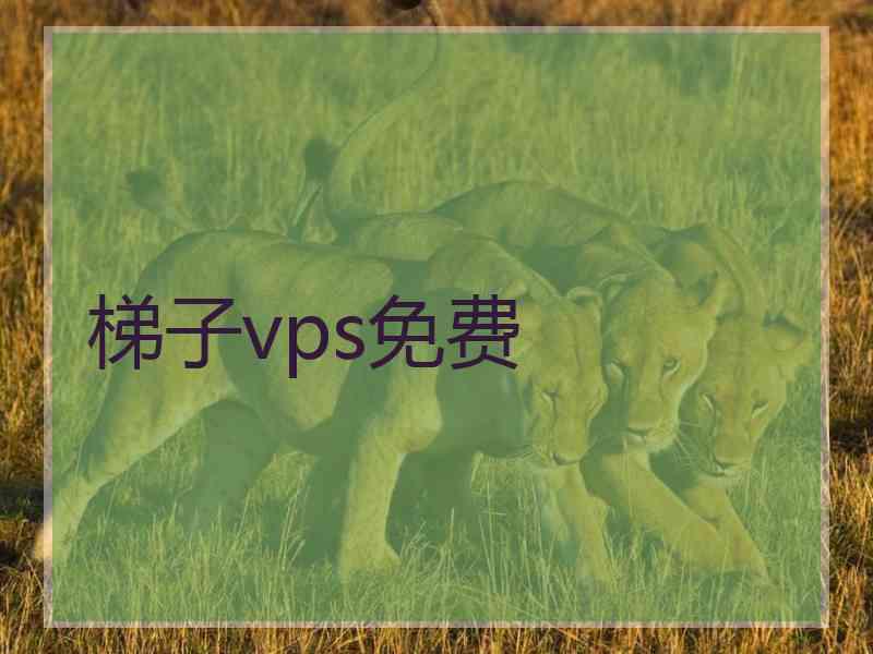 梯子vps免费