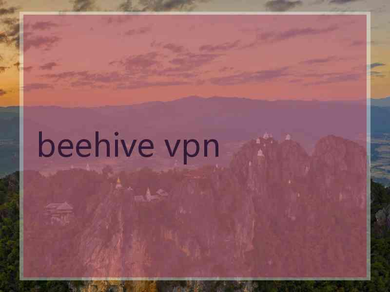 beehive vpn