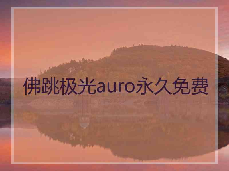 佛跳极光auro永久免费