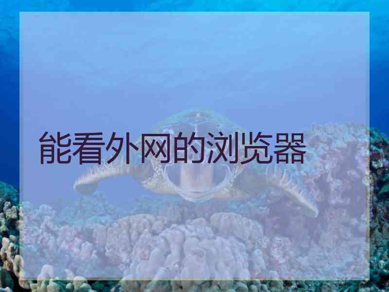 能看外网的浏览器