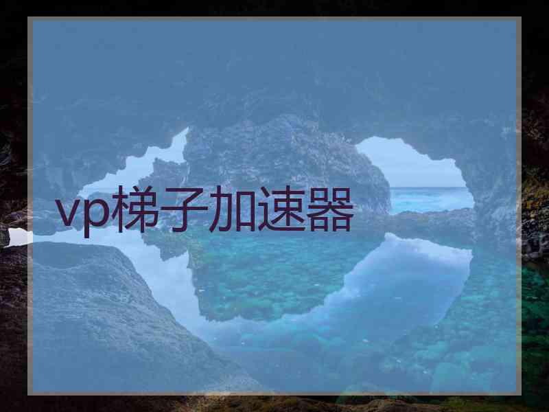 vp梯子加速器