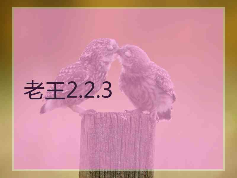 老王2.2.3