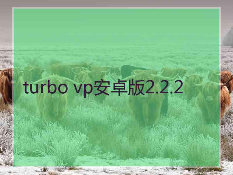 turbo vp安卓版2.2.2