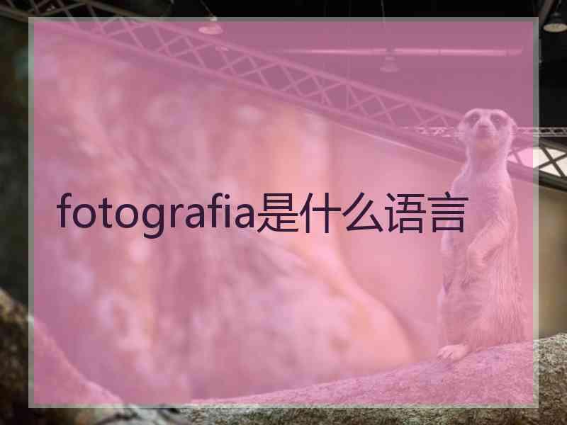 fotografia是什么语言