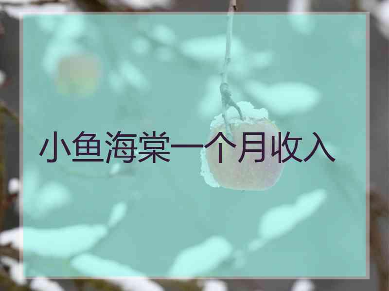 小鱼海棠一个月收入