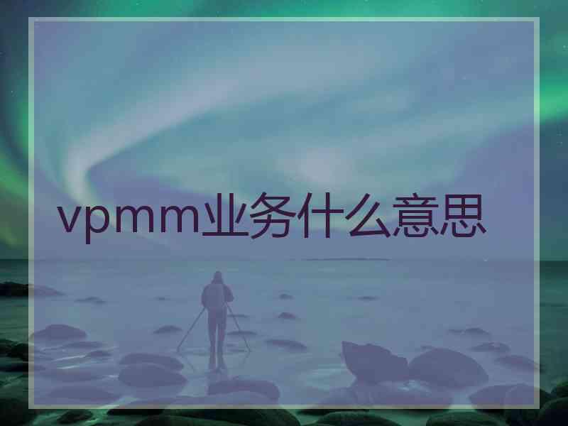 vpmm业务什么意思