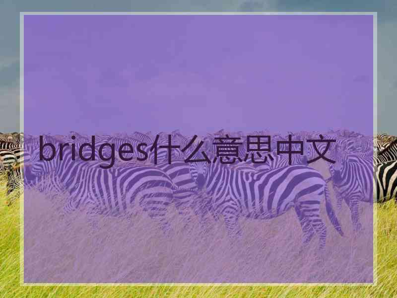 bridges什么意思中文