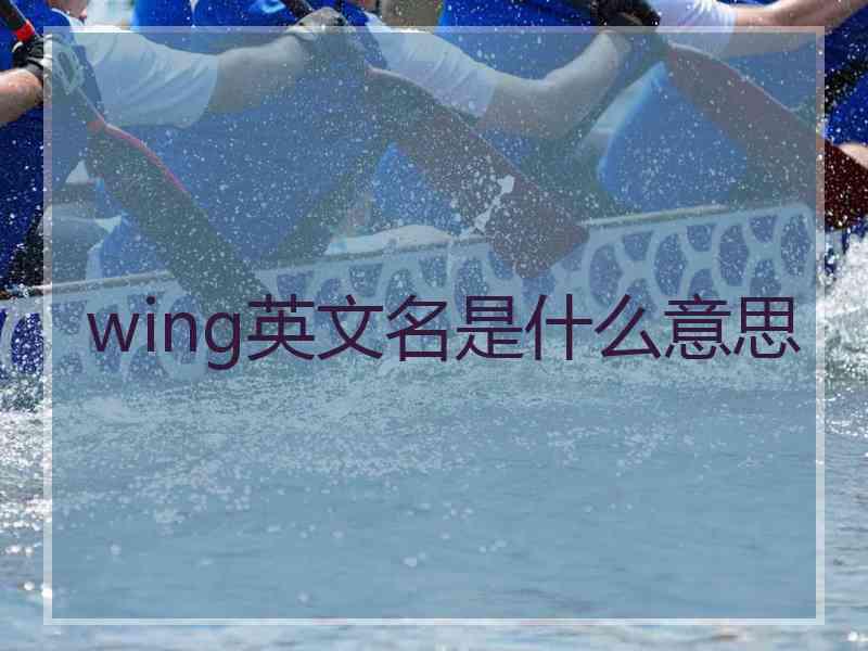 wing英文名是什么意思