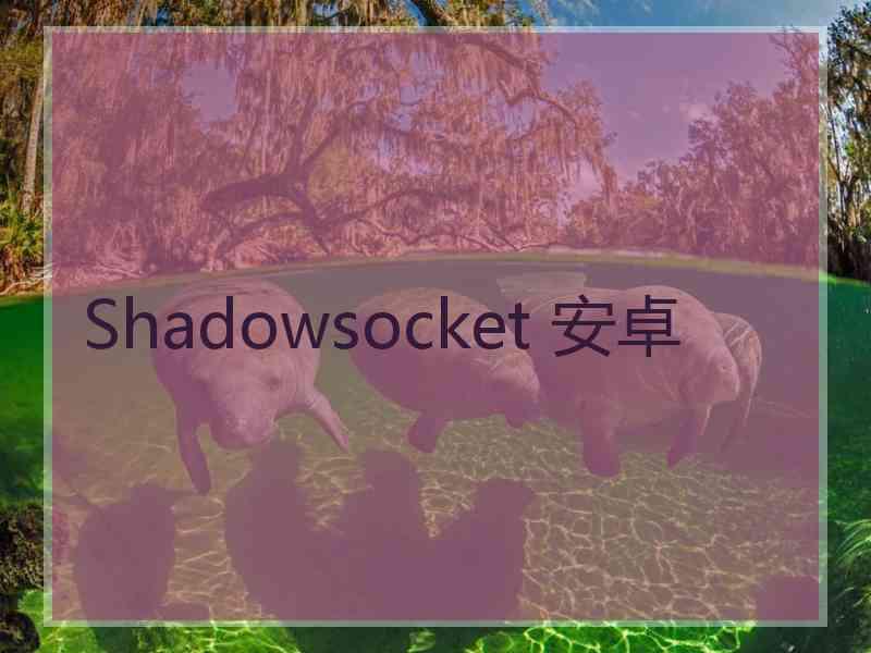 Shadowsocket 安卓