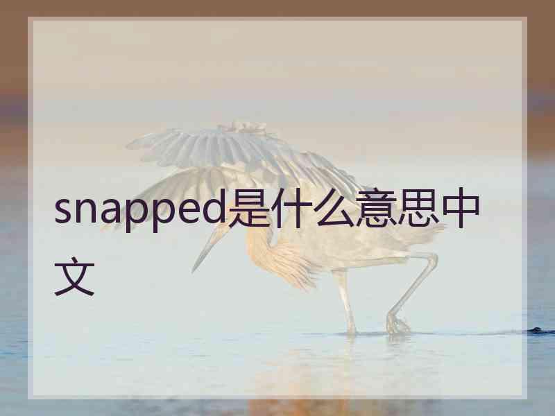 snapped是什么意思中文