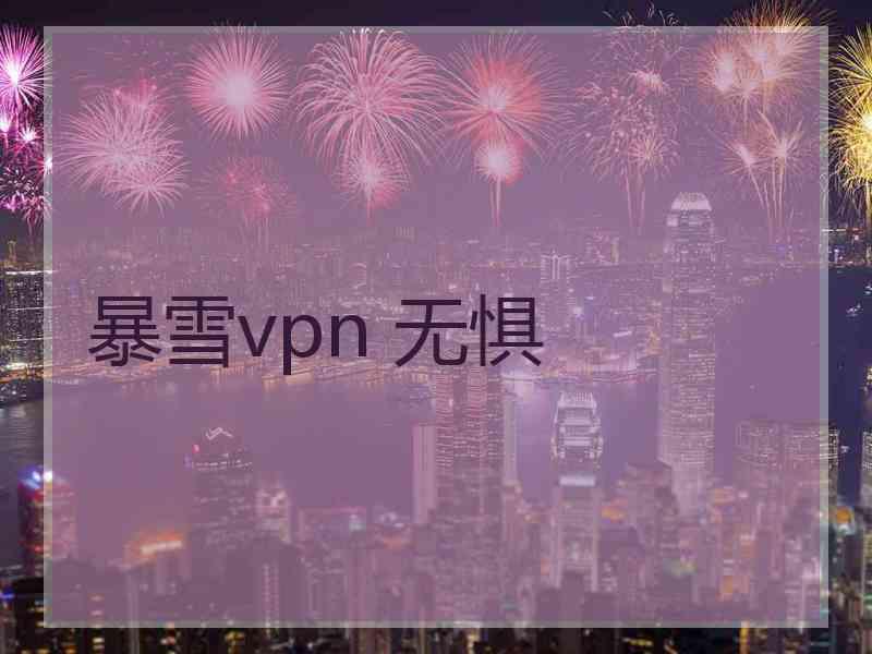 暴雪vpn 无惧