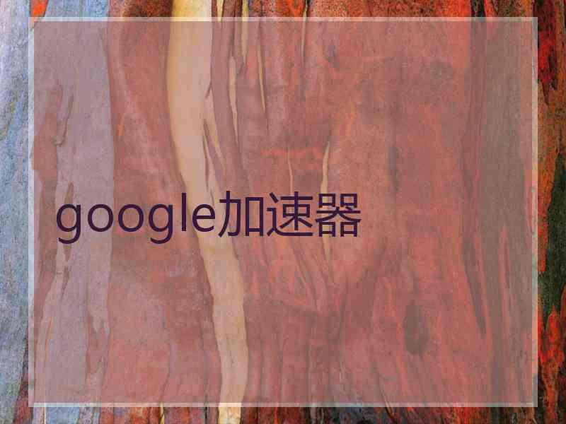 google加速器