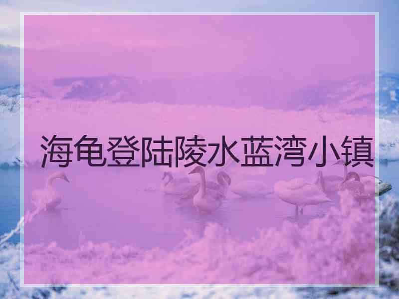 海龟登陆陵水蓝湾小镇