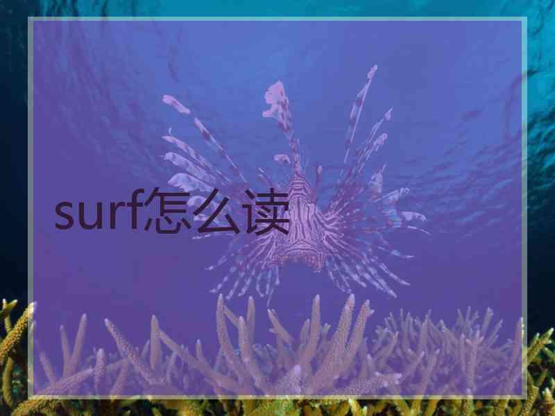 surf怎么读