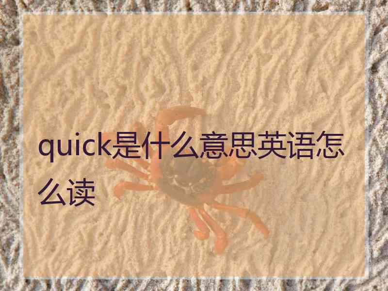 quick是什么意思英语怎么读