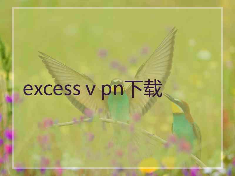 excessⅴpn下载