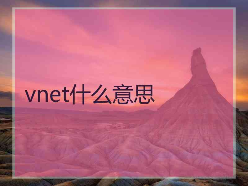 vnet什么意思