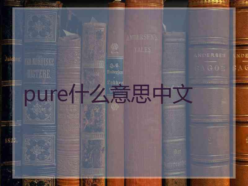 pure什么意思中文