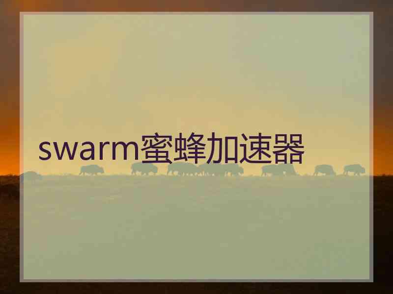 swarm蜜蜂加速器