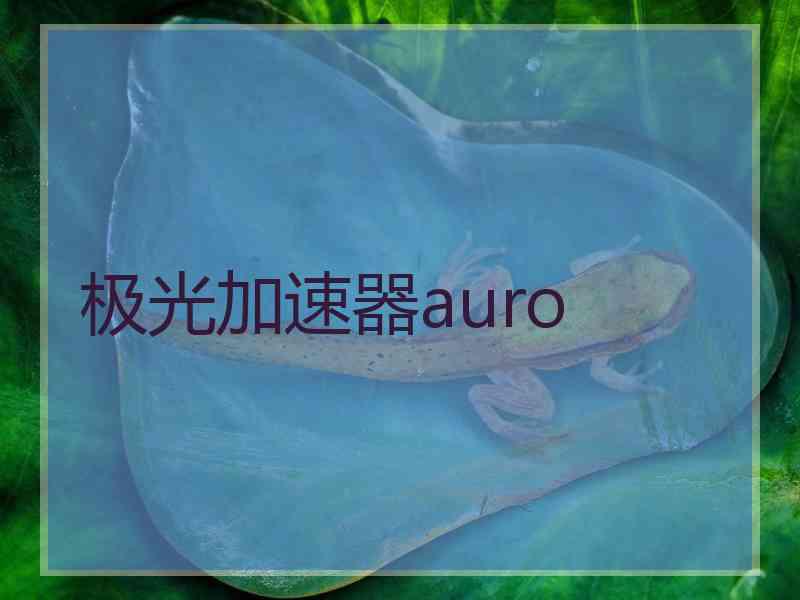 极光加速器auro