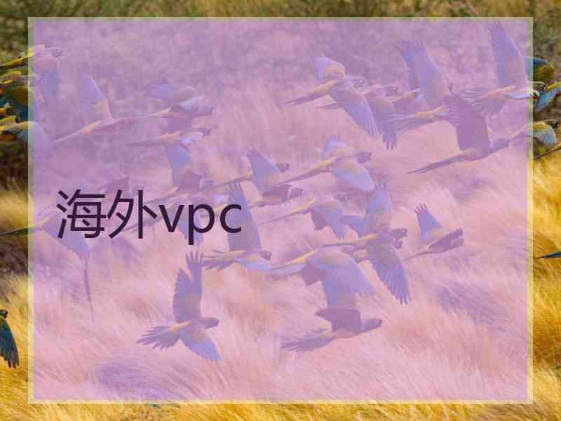 海外vpc