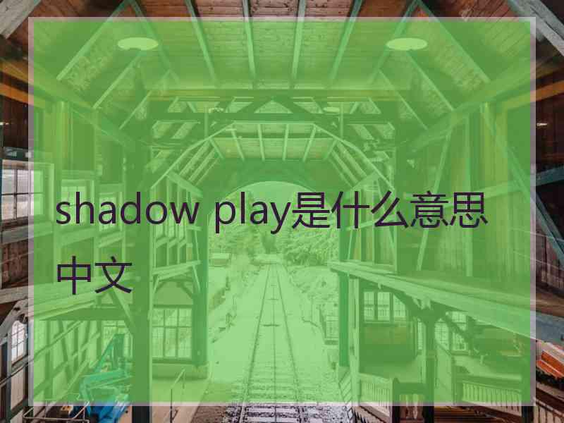 shadow play是什么意思中文