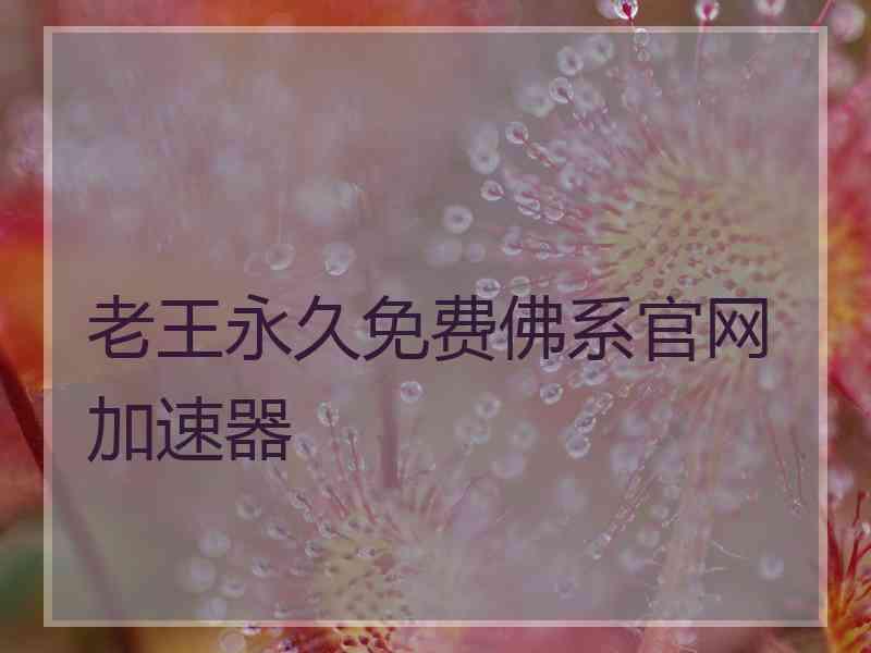 老王永久免费佛系官网加速器