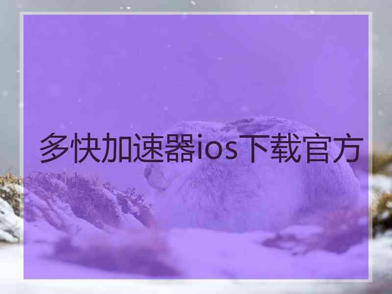 多快加速器ios下载官方