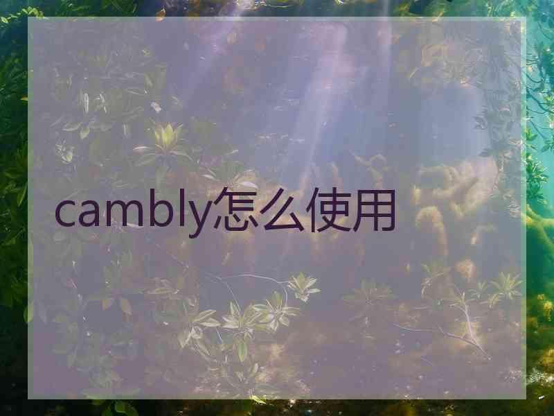 cambly怎么使用