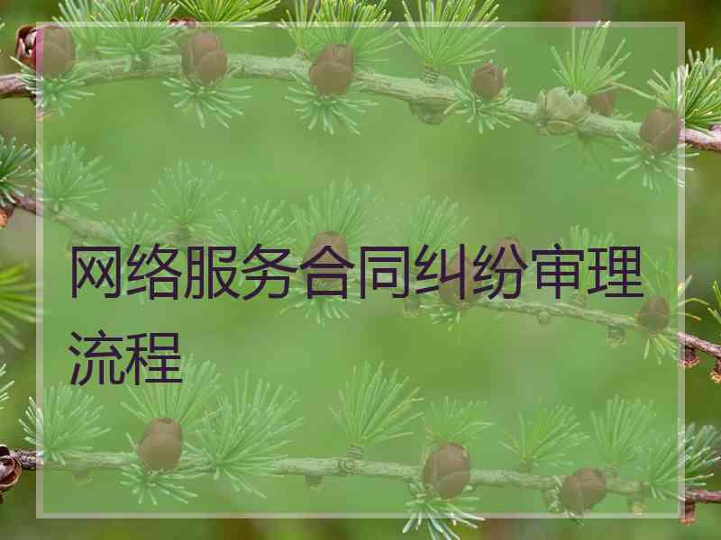 网络服务合同纠纷审理流程