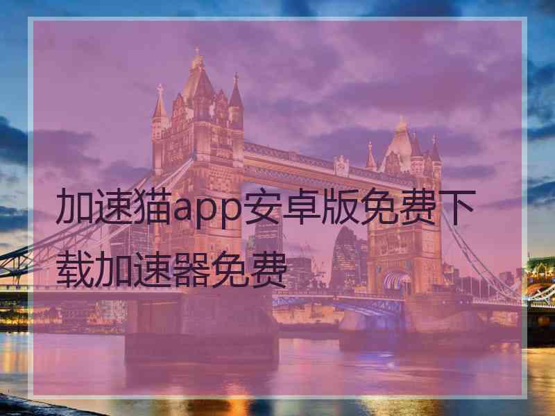 加速猫app安卓版免费下载加速器免费