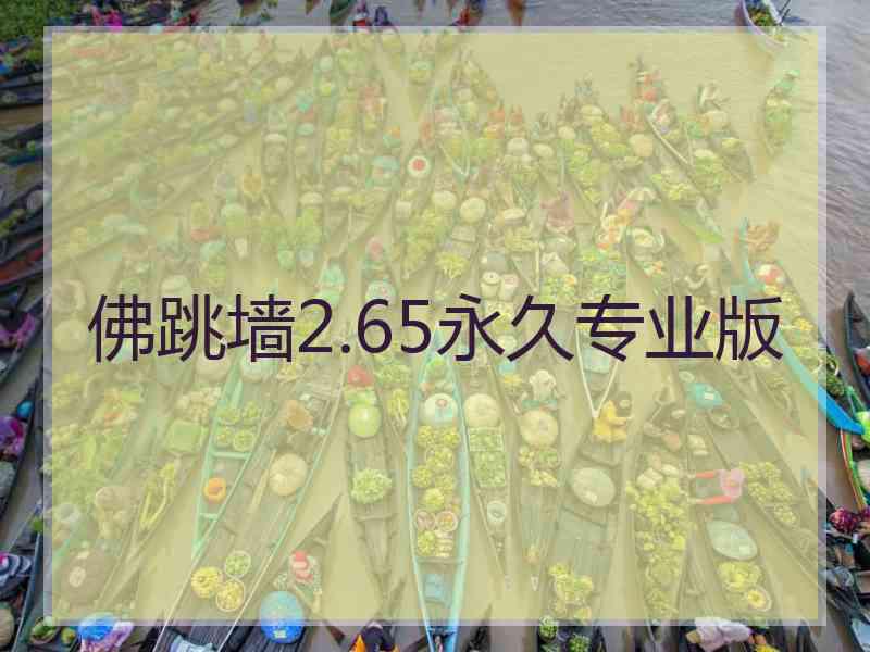 佛跳墙2.65永久专业版