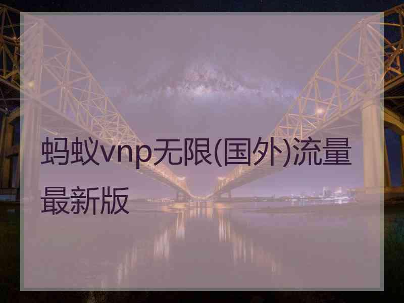 蚂蚁vnp无限(国外)流量最新版