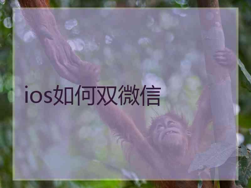 ios如何双微信