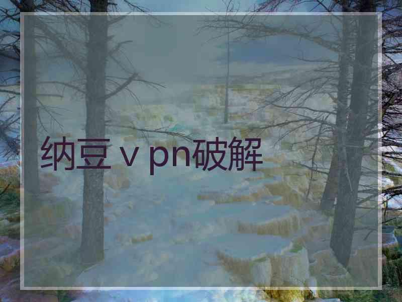 纳豆ⅴpn破解