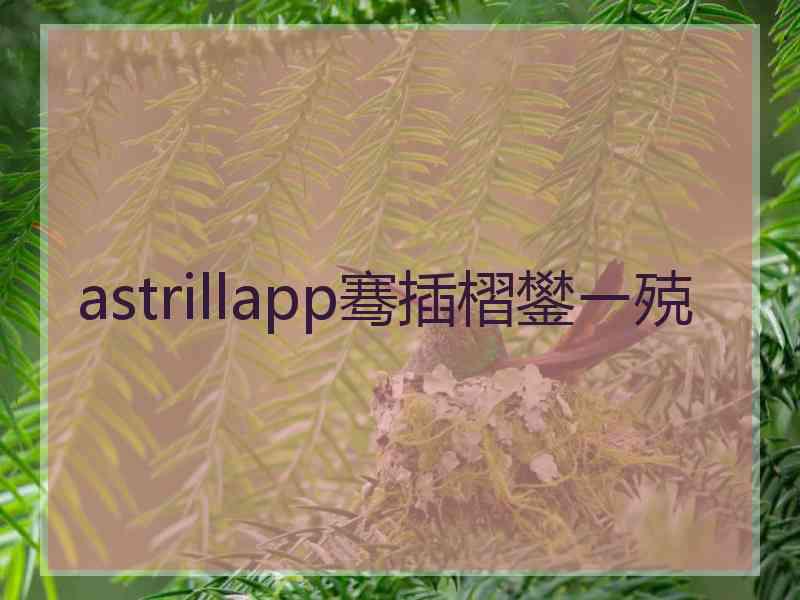 astrillapp骞插槢鐢ㄧ殑