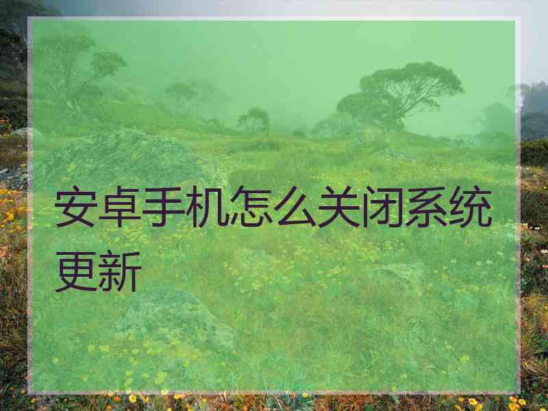 安卓手机怎么关闭系统更新