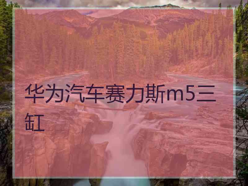 华为汽车赛力斯m5三缸