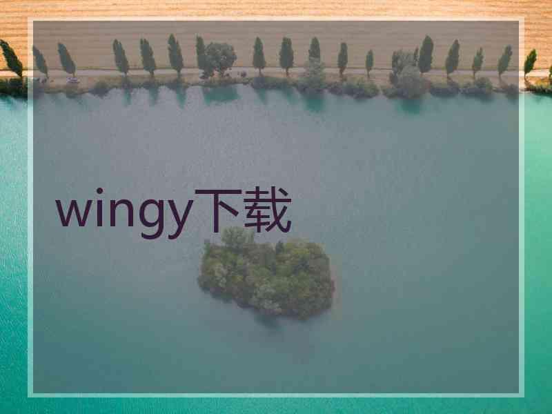 wingy下载