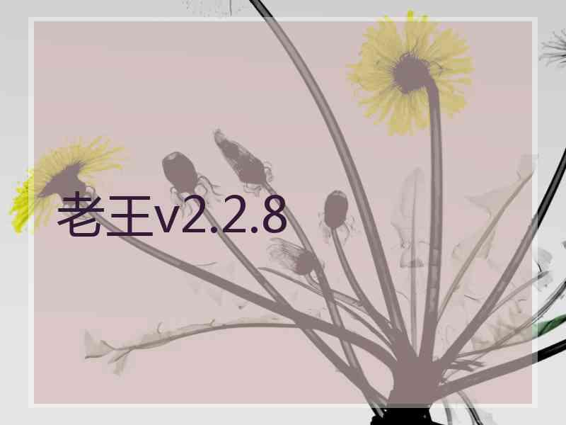 老王v2.2.8