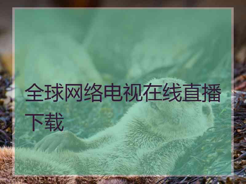 全球网络电视在线直播下载