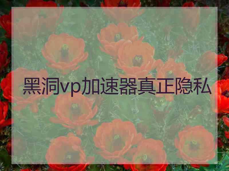 黑洞vp加速器真正隐私