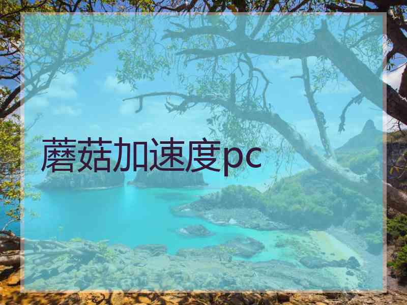 蘑菇加速度pc