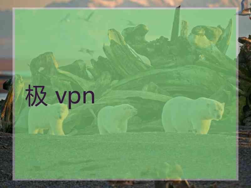 极 vpn