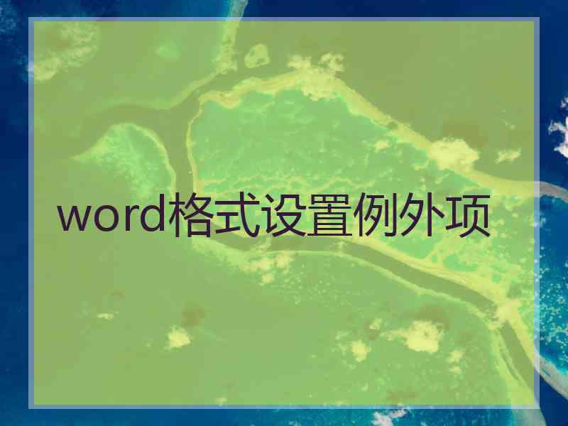 word格式设置例外项