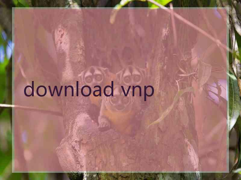 download vnp