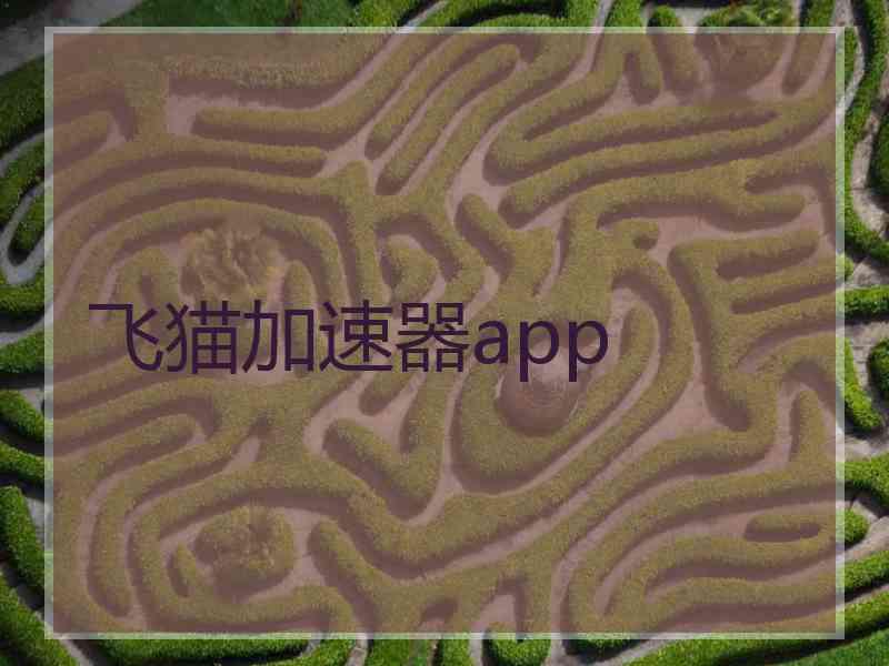 飞猫加速器app