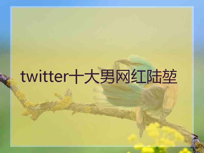 twitter十大男网红陆堃